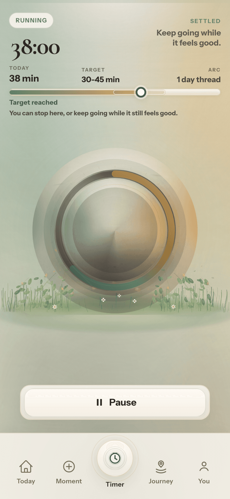 The real Wild Minutes timer screen.