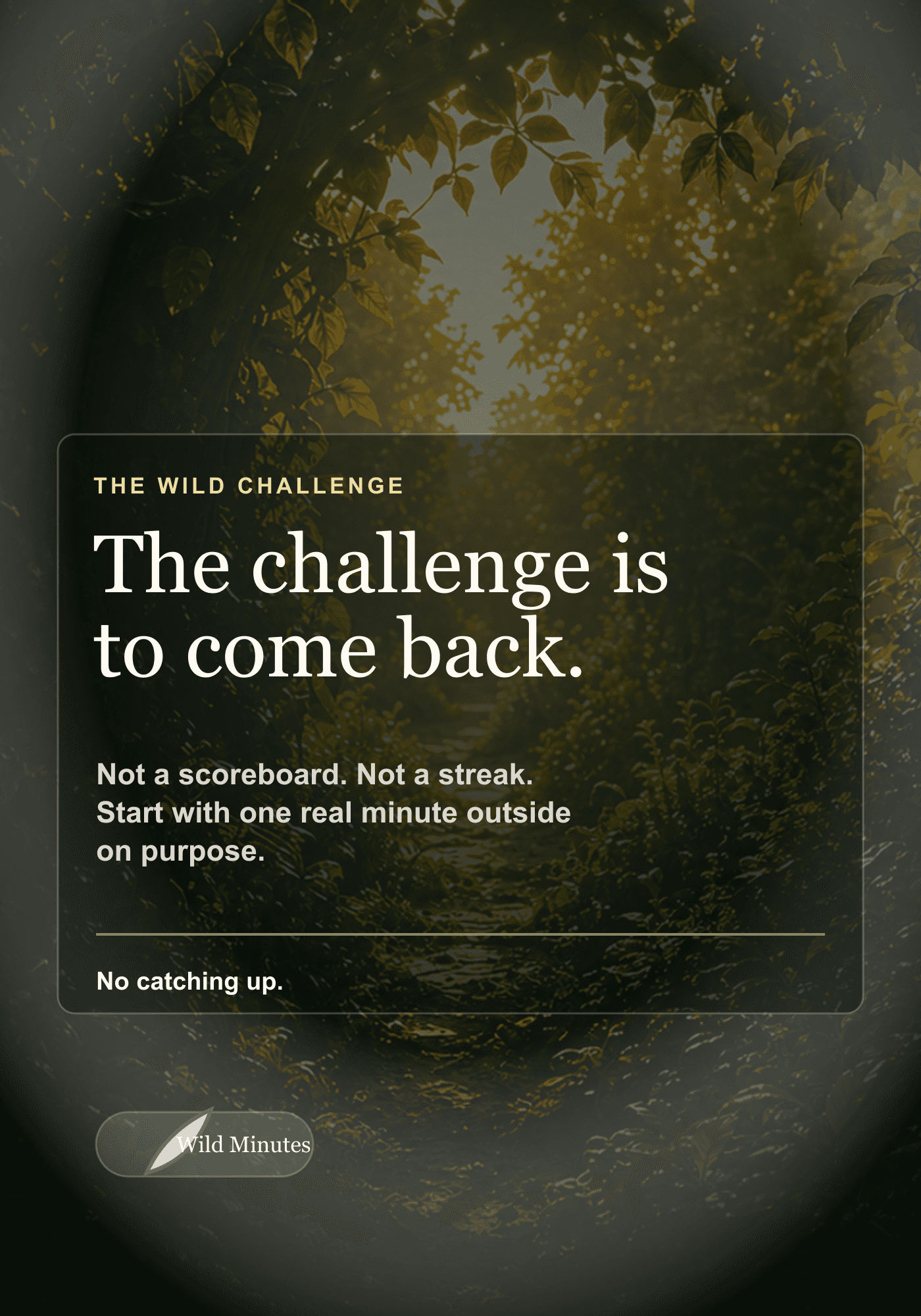 The challenge is to come back. poster